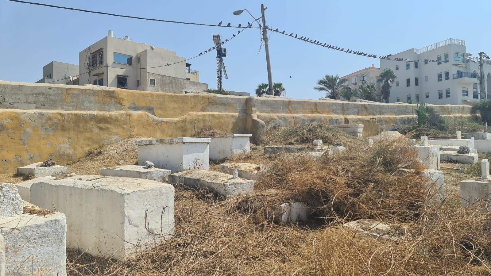 WhatsApp Image 2020-09-19 at 1.45.37 PM (2).jpeg.jpeg